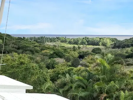 Villa de charme à Sainte-Anne avec piscine privée - Photo 30
