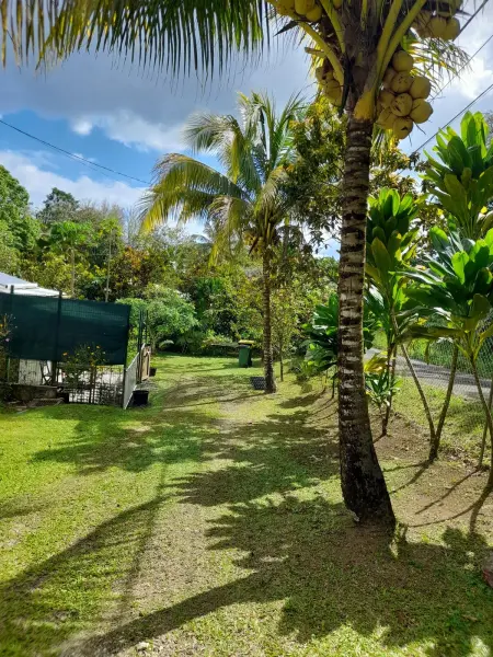 Location appartement à Sainte Rose, Appartement charmant à Sainte-Rose avec terrasse et jardin