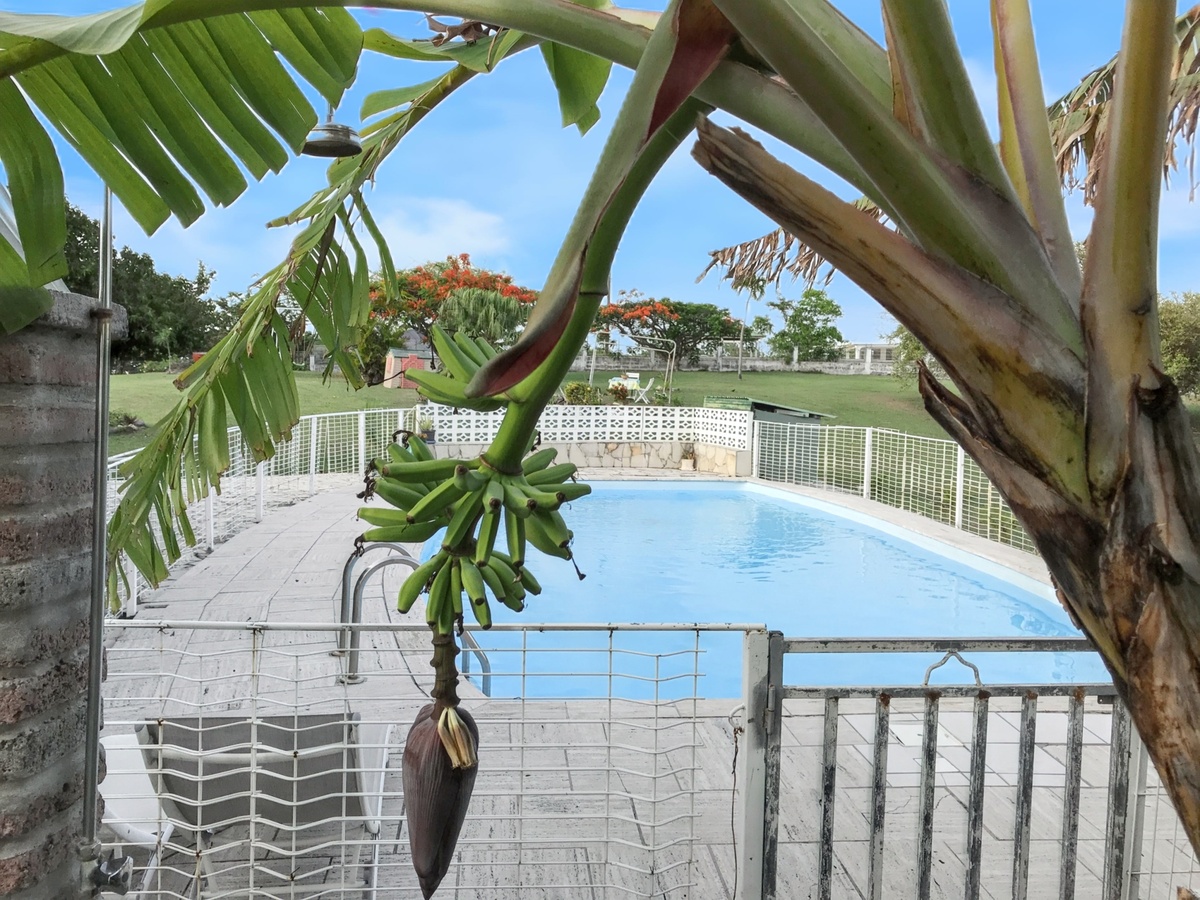 Maison 10 personnes, piscine privée toute l'année à Saint-François - Photo 43