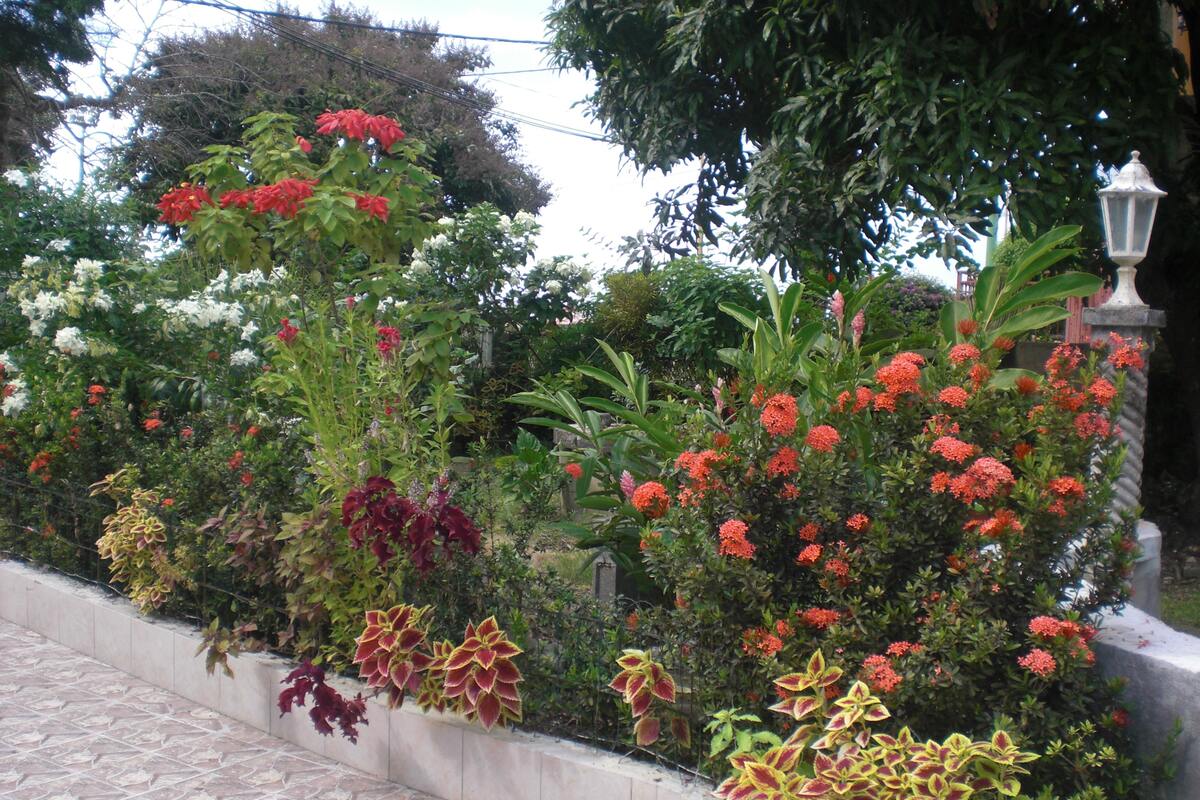 Appartement 35 m² terrasse et jardin clos à Port-Louis - Photo 3