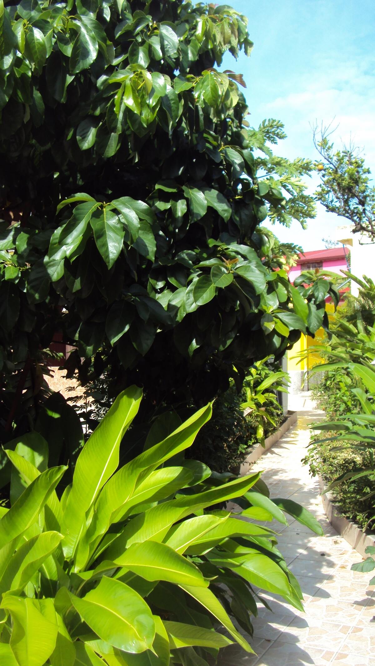 Appartement 35 m² terrasse et jardin clos à Port-Louis - Photo 9