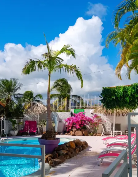 Appartement avec piscine partagée et climatisation à Sainte-Anne, Martinique : photo 9