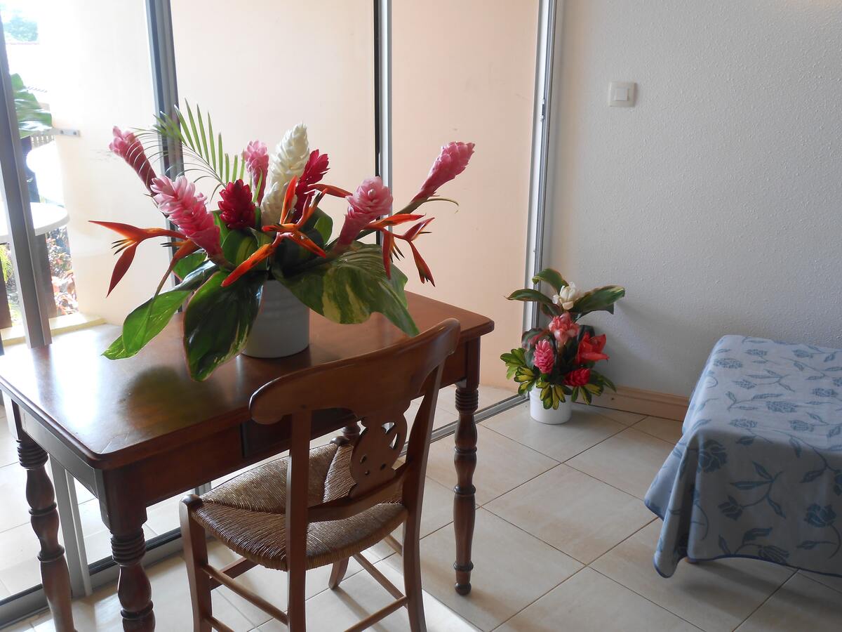 Studio 27 m² avec terrasse jardin à Saint-Anne - Photo 7