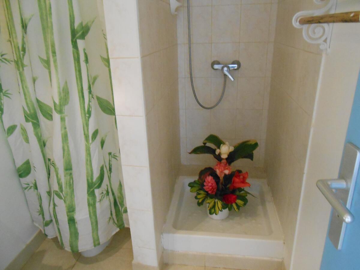 Studio 27 m² avec terrasse jardin à Saint-Anne - Photo 9