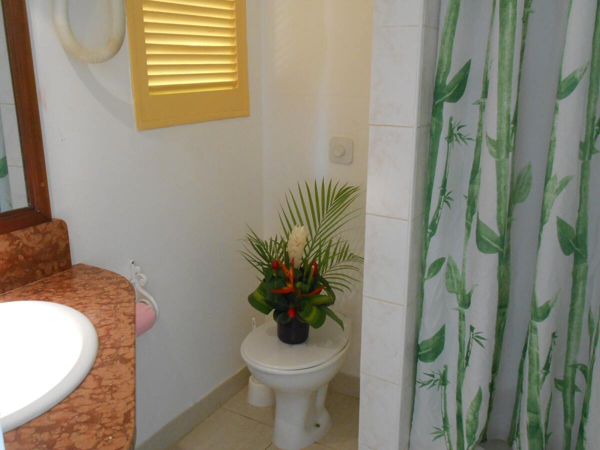 Studio 27 m² avec terrasse jardin à Saint-Anne - Photo 10
