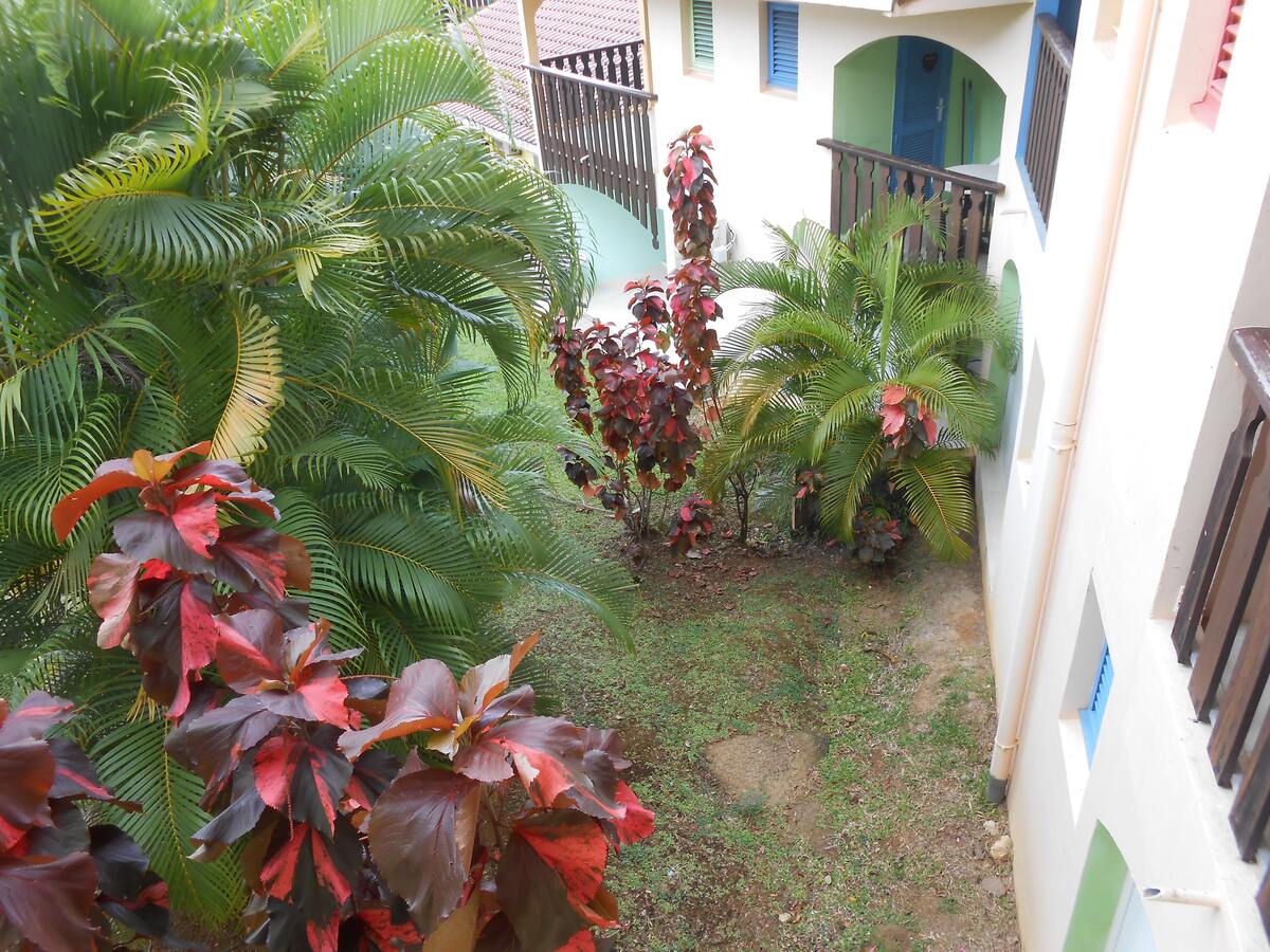 Studio 27 m² avec terrasse jardin à Saint-Anne - Photo 16