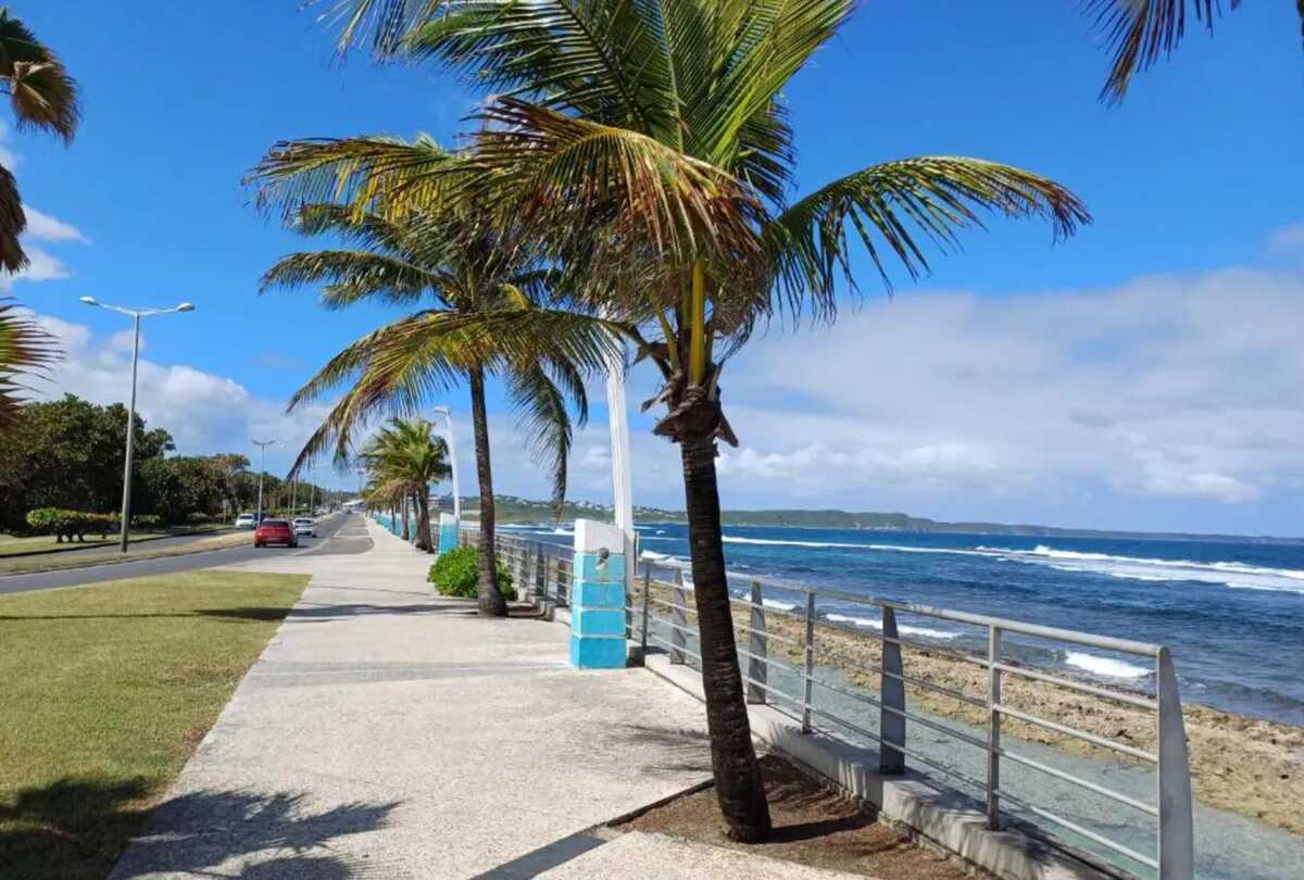 Appartement vue mer au Moule, 60 m², parking gratuit - Photo 17