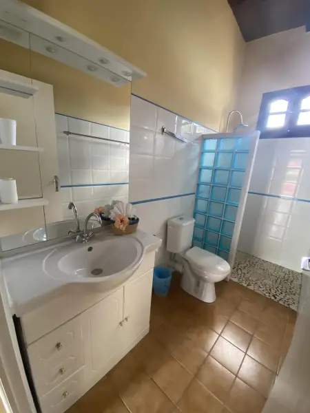 Appartement 36 m² avec piscine et jacuzzi à Pointe-Noire : photo 3