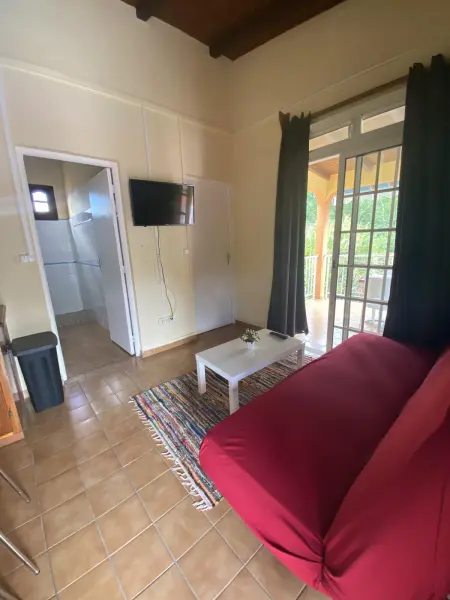 Appartement 36 m² avec piscine et jacuzzi à Pointe-Noire : photo 16