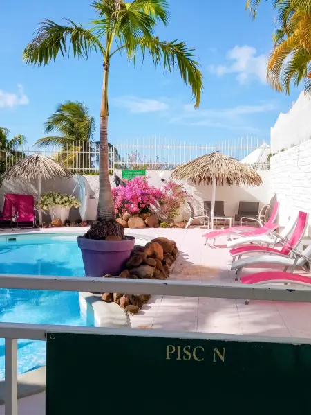 Appartement 80 m² avec piscine partagée et jardin clôturé à Sainte-Anne : photo 11