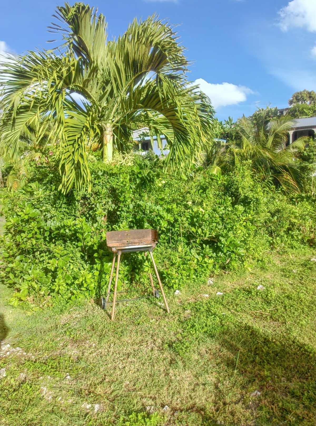 Maison 110 m² avec jardin clos et barbecue à Saint-Anne - Photo 24