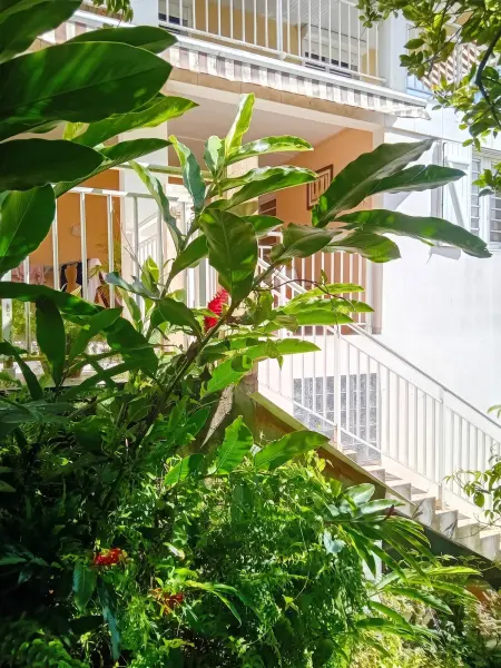 Appartement avec terrasse et jardin clôturé à Sainte-Luce, Martinique : photo 6