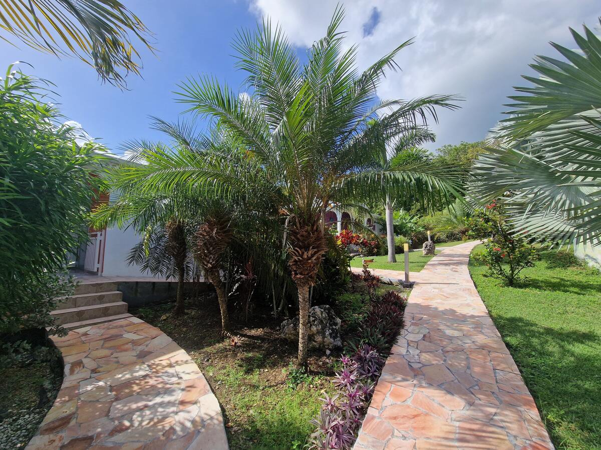 Maison 6 pers. avec piscine toute l'année à Le Moule - Photo 8