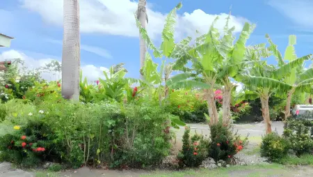 Maison charmante à Sainte Anne avec piscine partagée - Photo 17