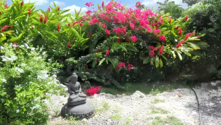 Maison charmante à Sainte Anne avec piscine partagée - Photo 18