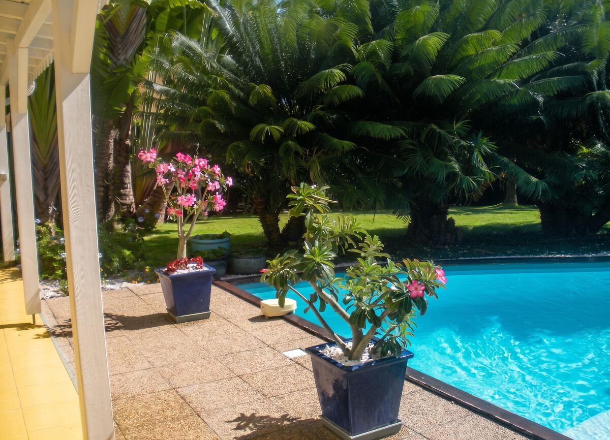 Villa 3 chambres, piscine privée toute l'année à Saint-François - Photo 10