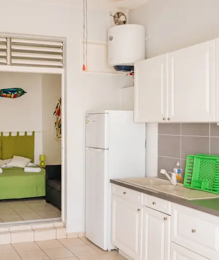 Appartement moderne 35 m² avec piscine partagée à Saint-François : photo 10