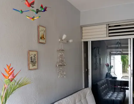 Appartement moderne 35 m² avec piscine partagée à Saint-François : photo 12