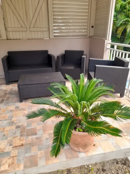 Appartement avec vue mer, jacuzzi et jardin à Gros-Morne : photo 2