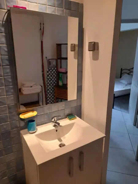 Appartement avec vue mer, jacuzzi et jardin à Gros-Morne : photo 18