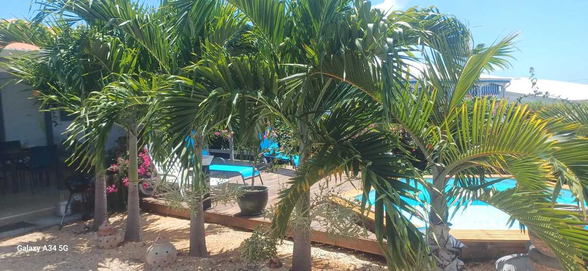Villa 5 pers. à Bouillante, piscine commune et vue mer - Photo 45