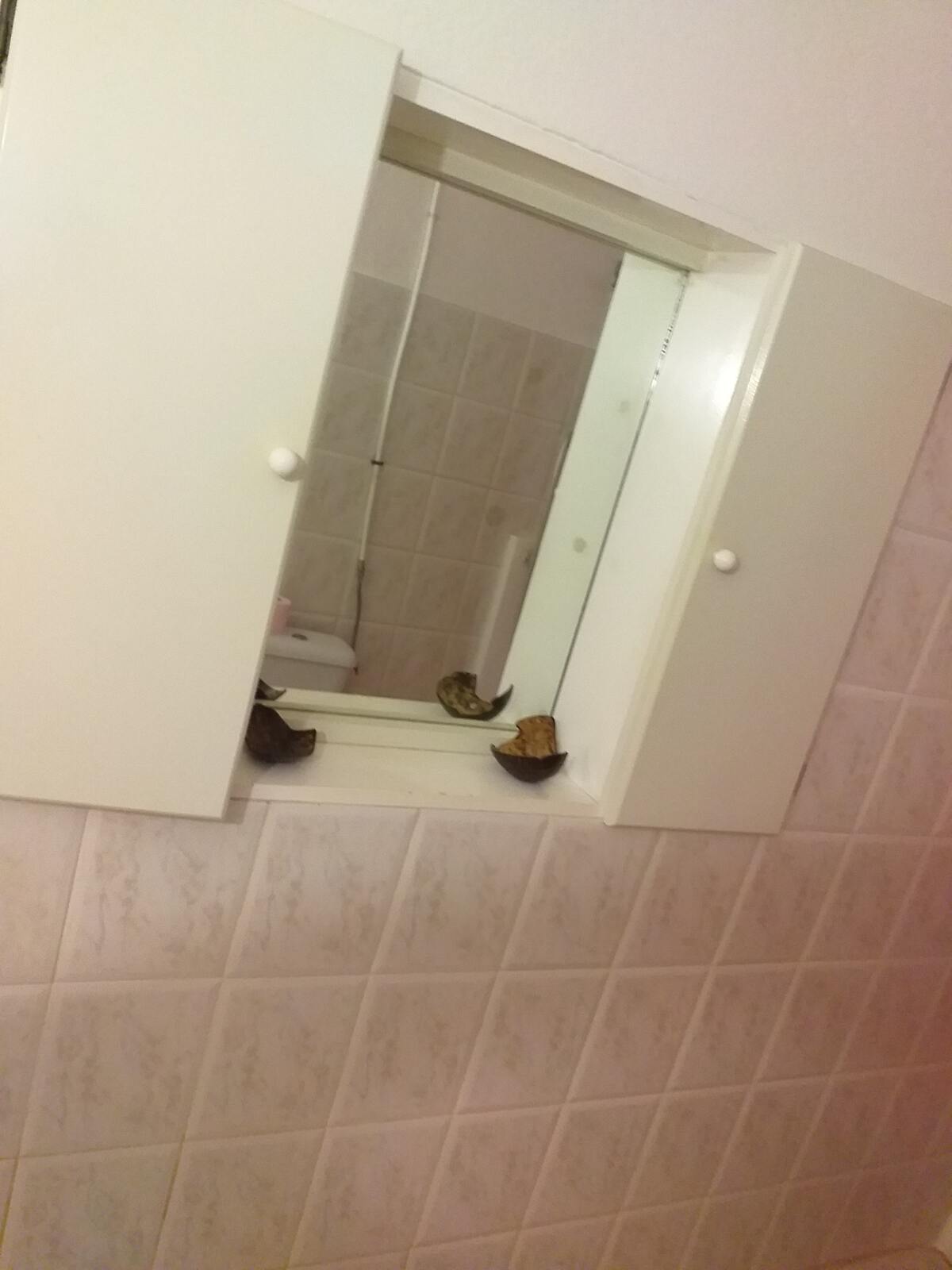 Appartement avec jardin privé et barbecue à Morne-À-l'Eau - Photo 4