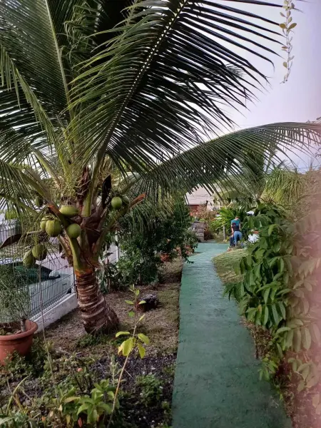 Studio charmant à Sainte-Anne avec piscine partagée - 60 m² - Photo 16