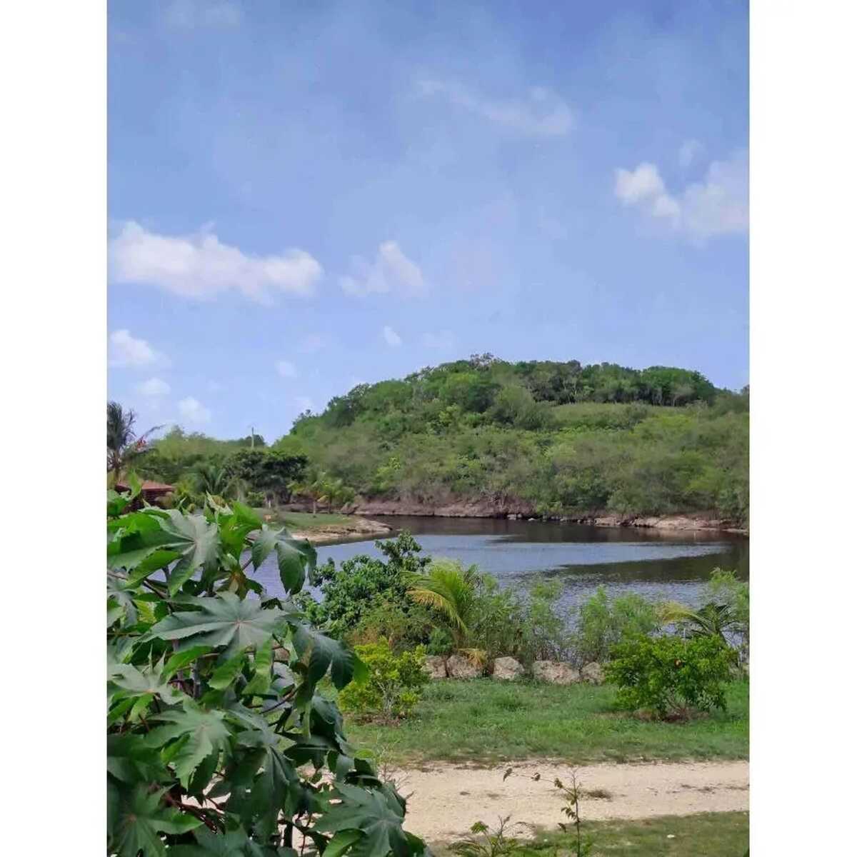 Bungalow 4 personnes à Anse-Bertrand, jardin clôturé - Photo 4