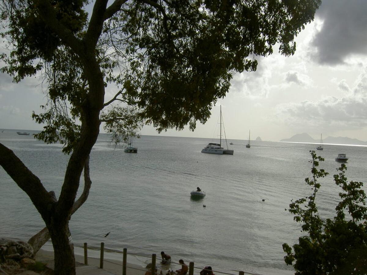 Studio 30 m² Sainte-Anne - Terrasse vue mer et jardin - Photo 13
