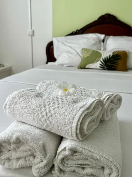 Appartement 50 m² avec piscine et vue mer à Saint-Joseph : photo 5