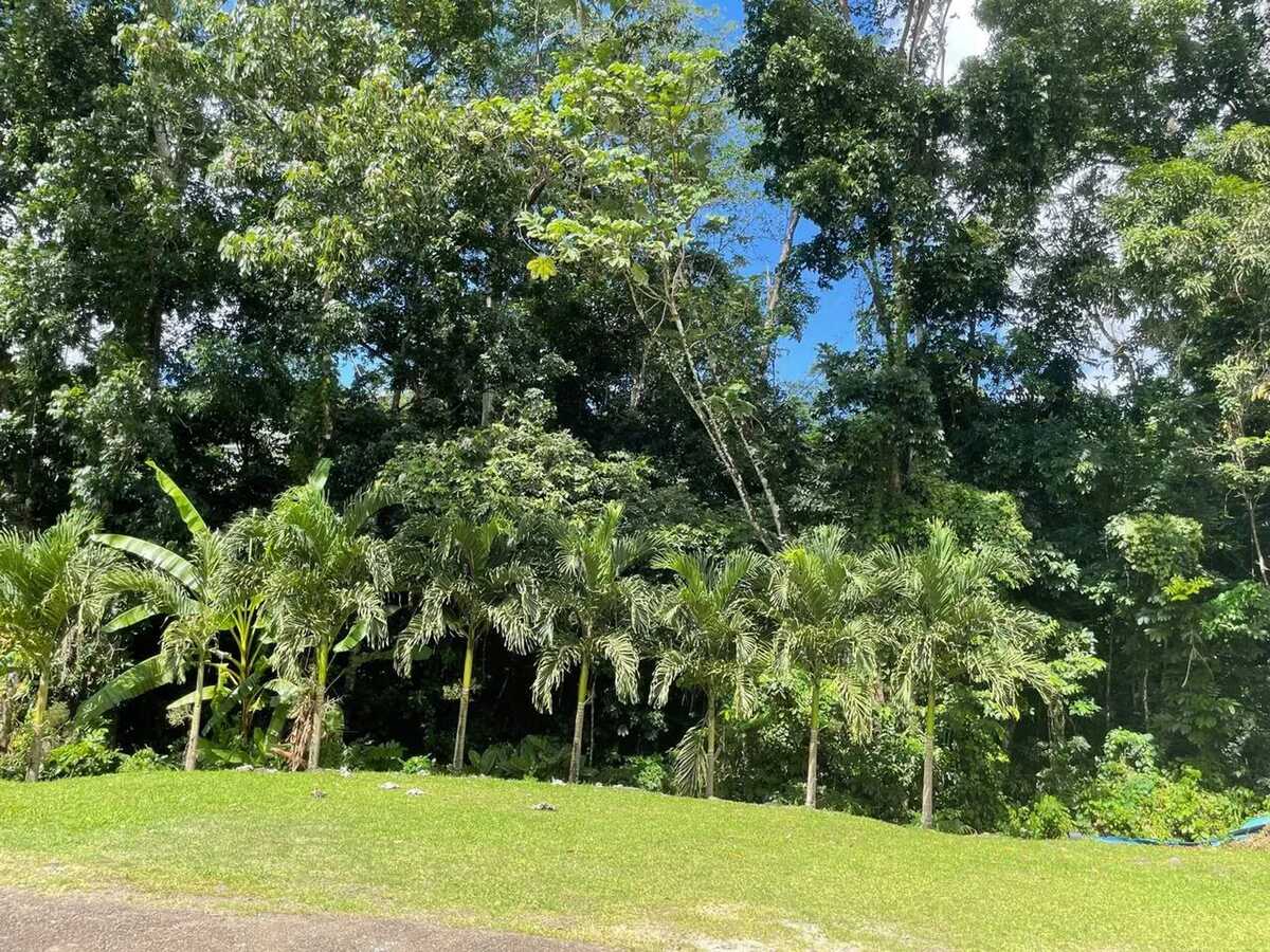 Maison 220 m² avec jardin et barbecue à Sainte-Luce, Martinique - Photo 14