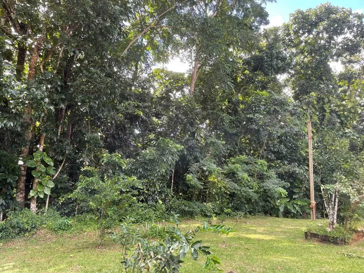 Maison 220 m² avec jardin et barbecue à Sainte-Luce, Martinique - Photo 17