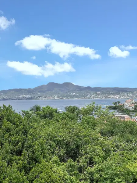 Location appartement à Les Trois Îlets