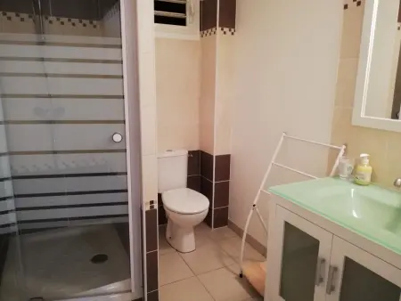 Appartement 85 m² avec jardin et vue montagne aux Trois-Îlets : photo 20
