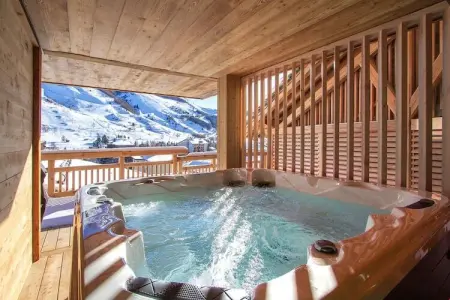 Chalet Le Lynx Les Deux Alpes - 14 pers, accès pistes à pied : photo 23