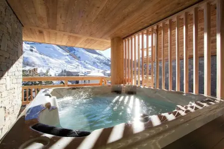 Chalet La Panthère des neiges, 14 personnes aux Deux Alpes : photo 18