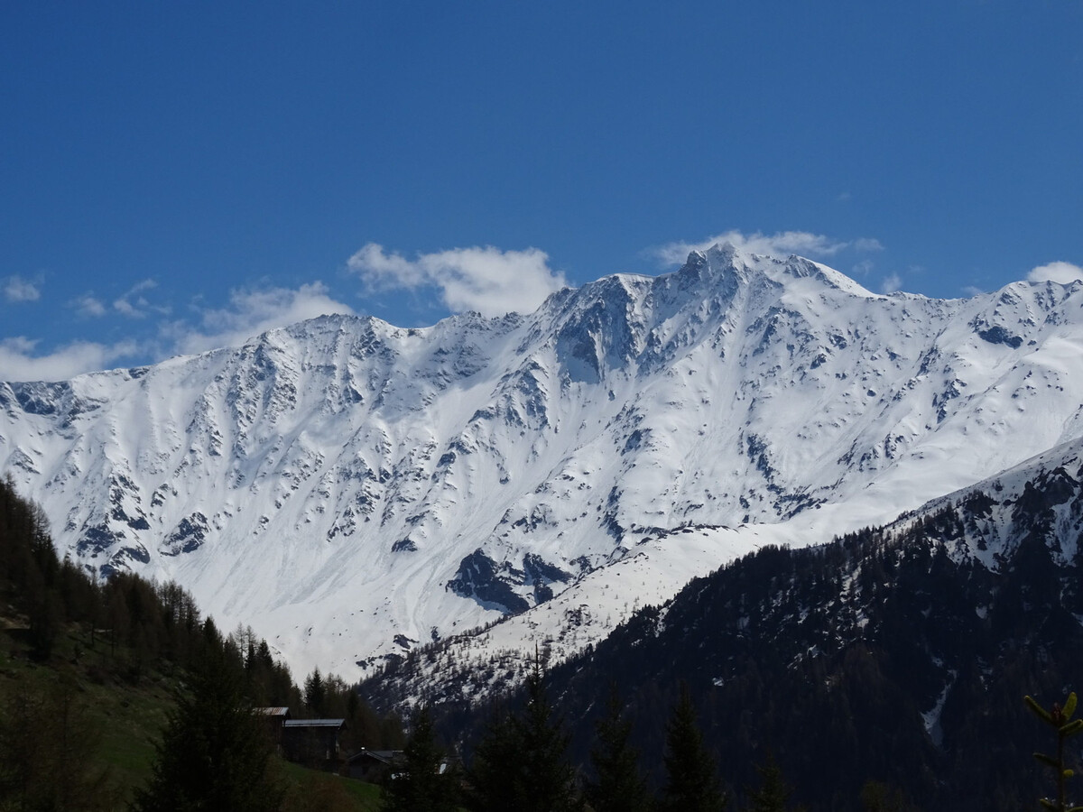 Chalet 8 pers Plan Peisey, 200m pistes, cheminée - Photo 15