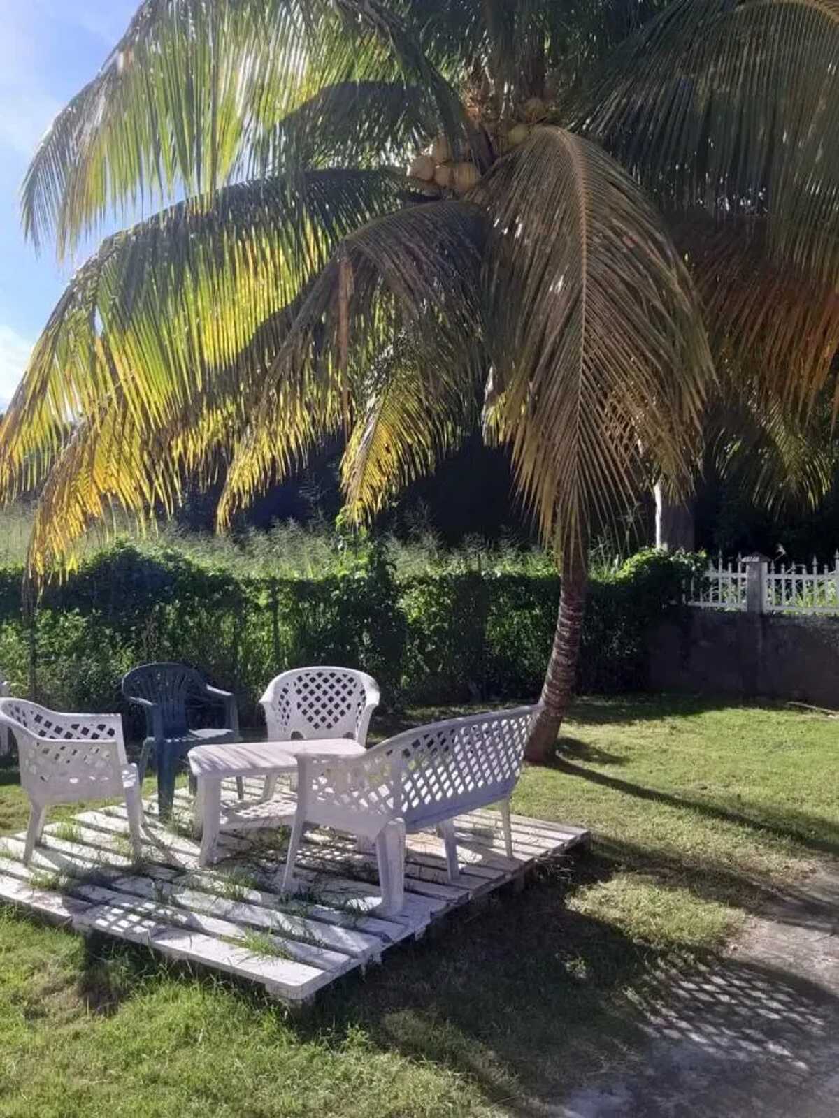 Maison cosy avec terrasse et jardin clos au Gosier, 39 m² - Photo 19