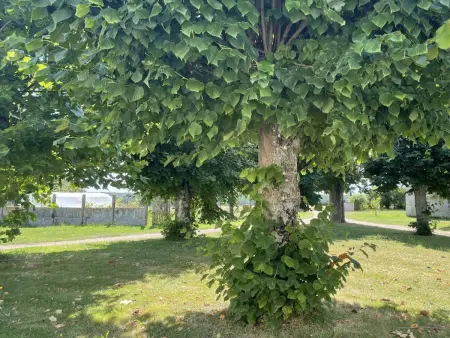 Gîte La Ferme Neuve avec sauna privatif à Pouillé : photo 19