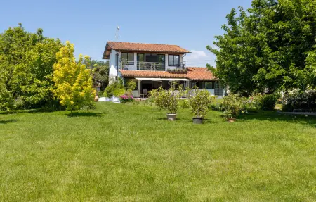Maison Colmate Pietrasanta - Piscine & jardin : photo 16