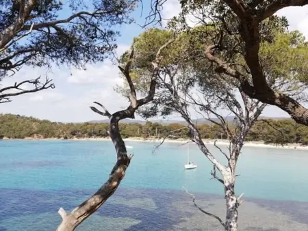 Maison climatisée avec grand jardin, proche plage et commerces - Photo 28