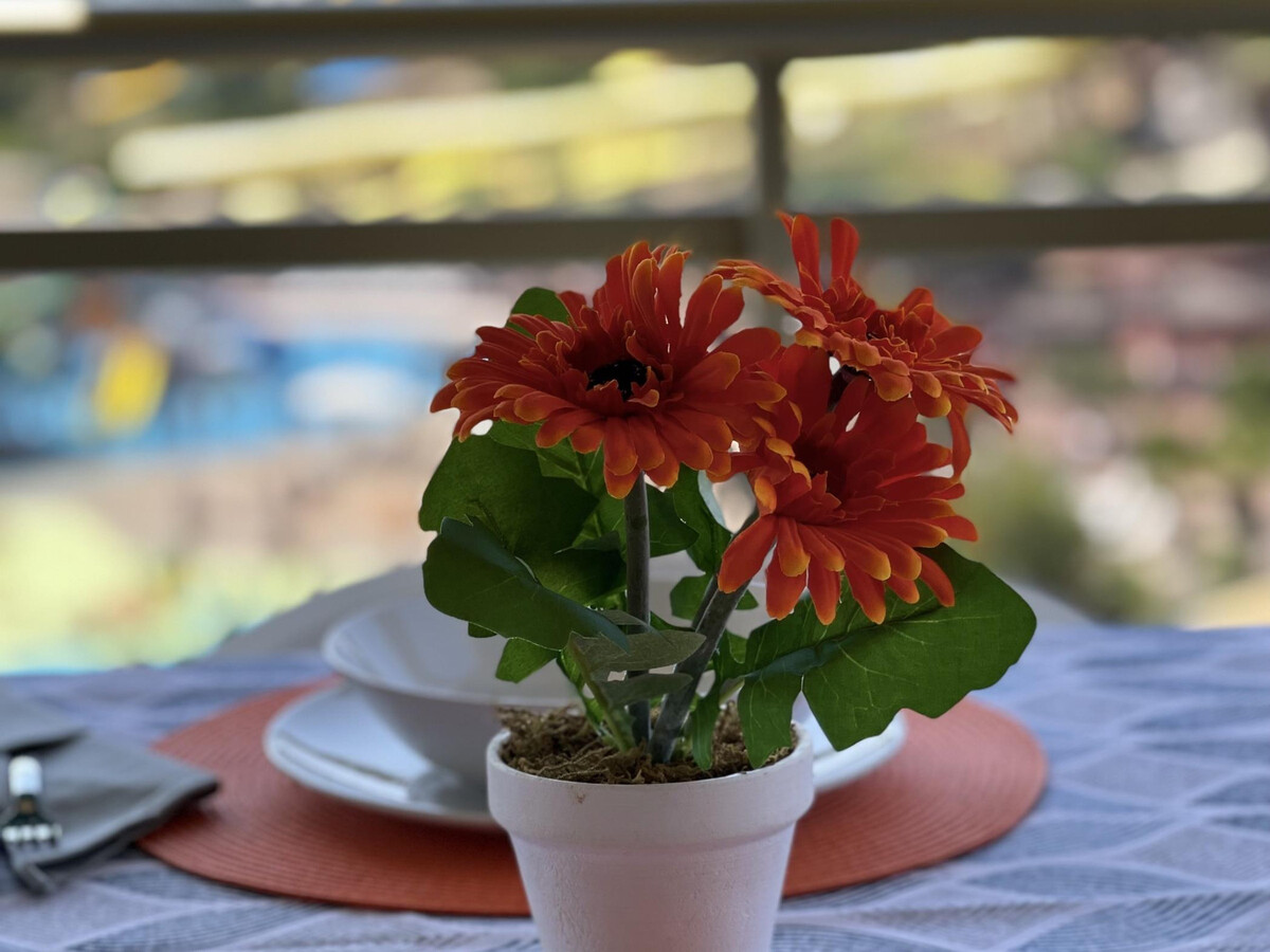 Appartement front de mer avec terrasse, piscine à La Pineda - Photo 22