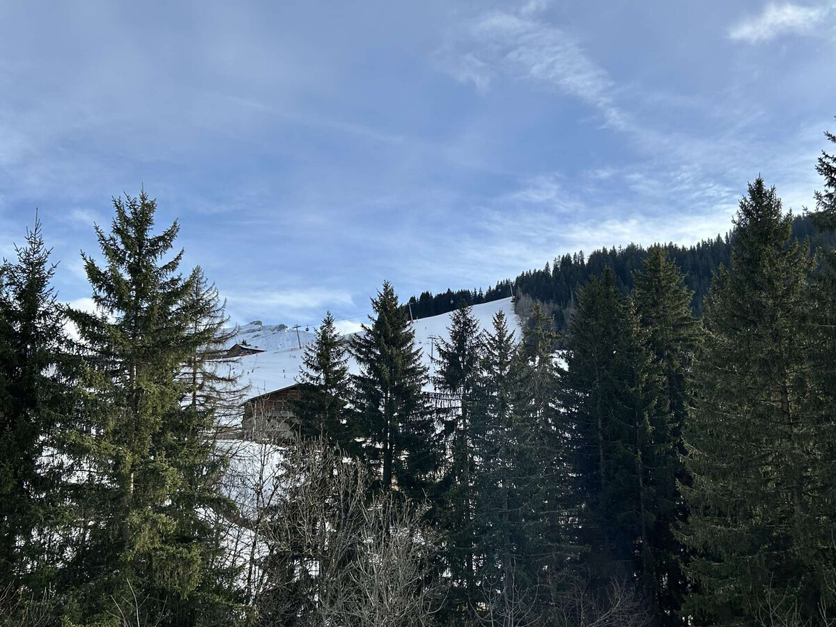 Appart 2 pièces 6 couchages, balcon sud et parking à Megève - Photo 14