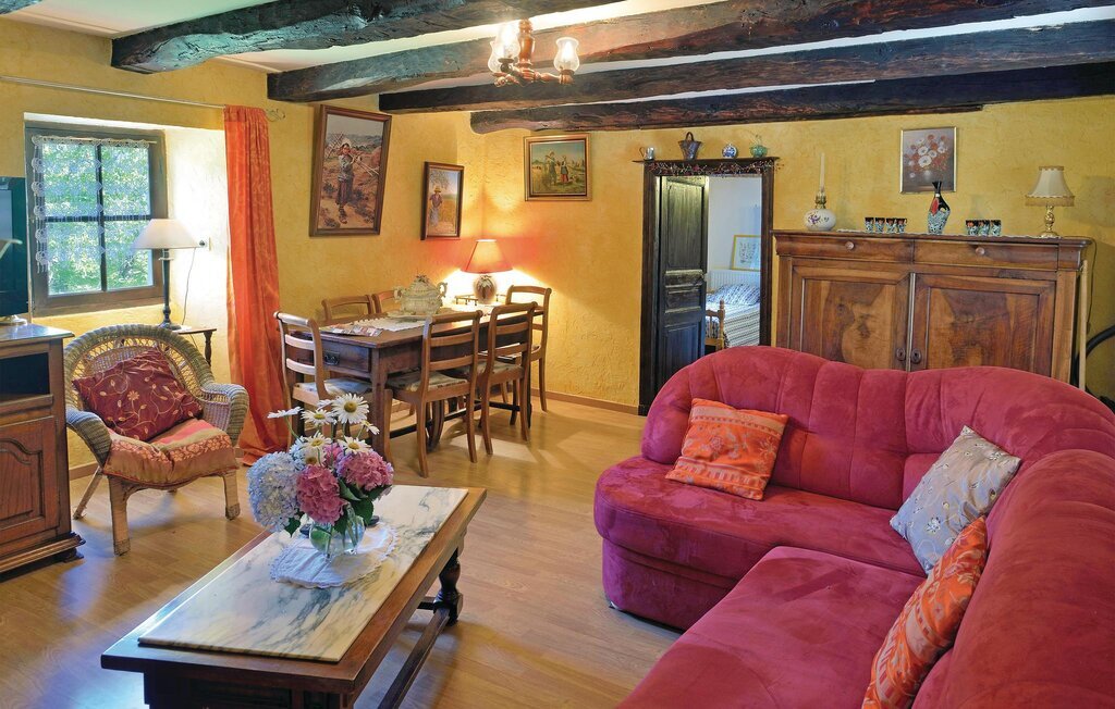 Maison 18e siècle avec piscine à Plazac - Photo 23