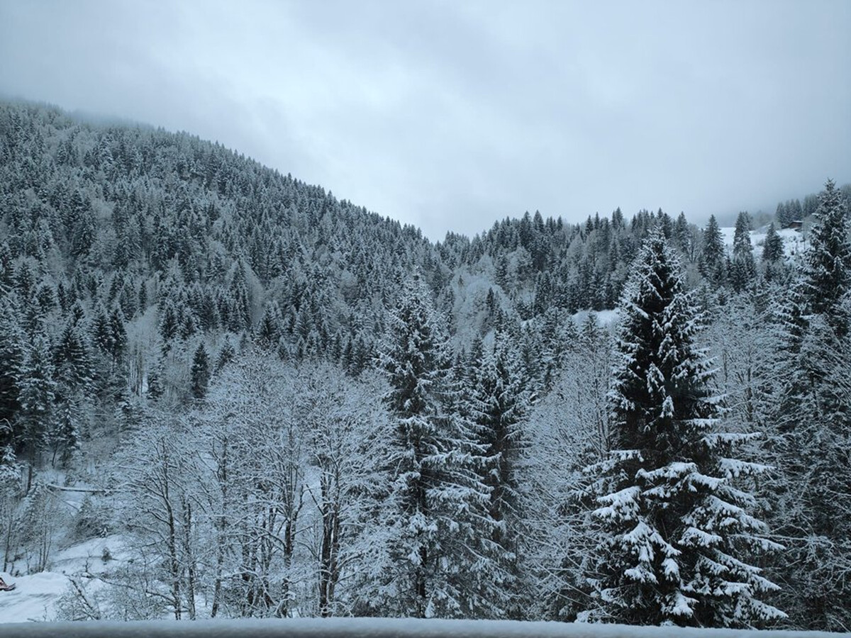 Duplex T2 Morzine, 10m du téléphérique de Nyon - Photo 19