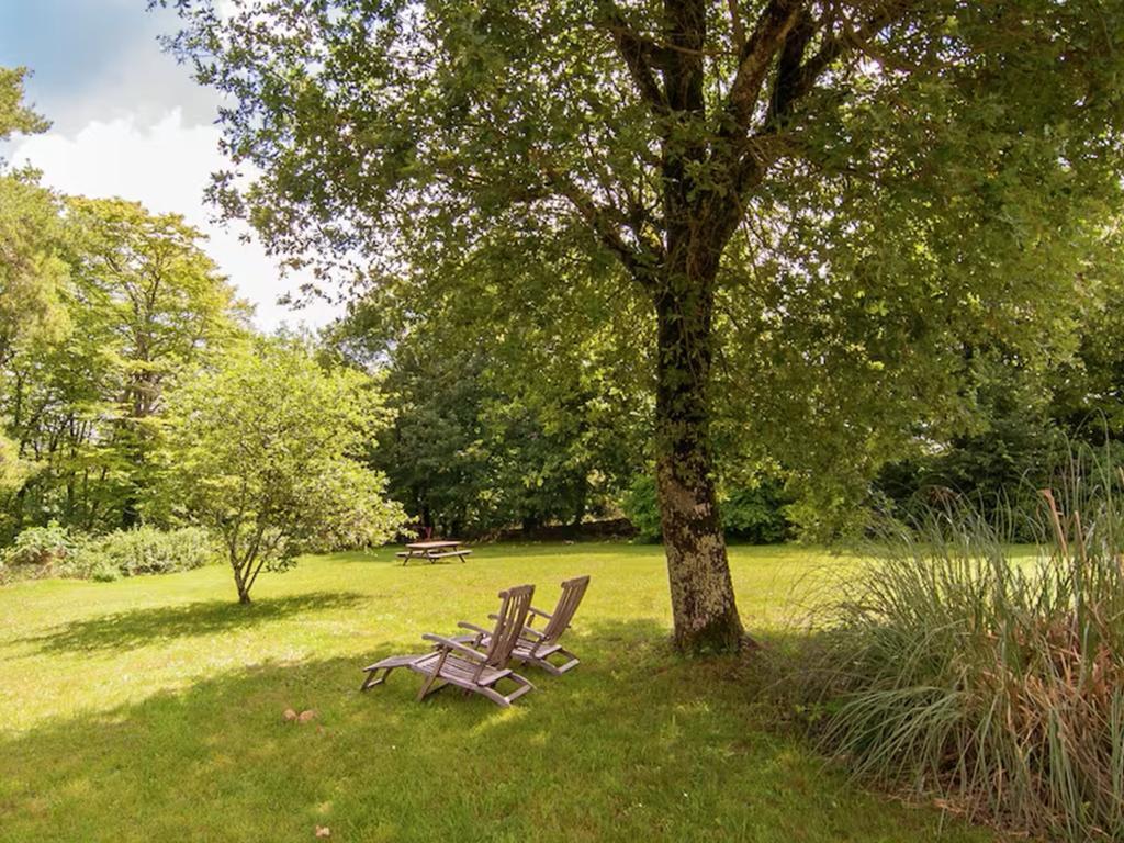 Maison Ollie : campagne Dordogne, jardin privé - Photo 9