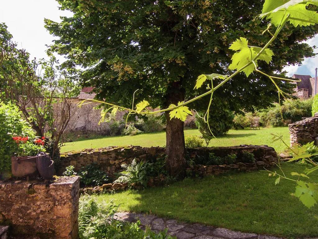 Maison Ollie : campagne Dordogne, jardin privé - Photo 30