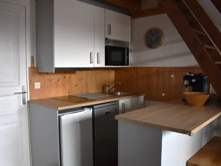 Appartement 2 pièces mezzanine avec jardin à Bolquère : photo 2