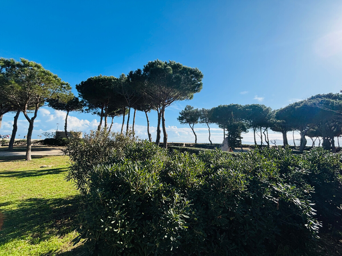 T2 face à la mer avec jardinet et parking à Argelès - Photo 12