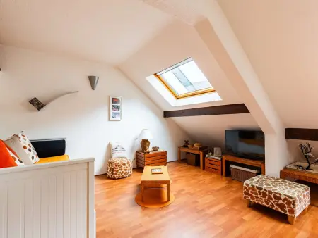 Appartement cosy au pied du téléphérique, Saint-Lary-Soulan : photo 3